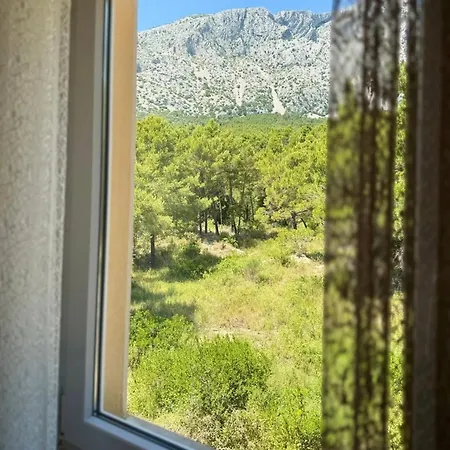 Вилла Sunshine Оребич